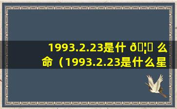 1993.2.23是什 🦄 么命（1993.2.23是什么星座）
